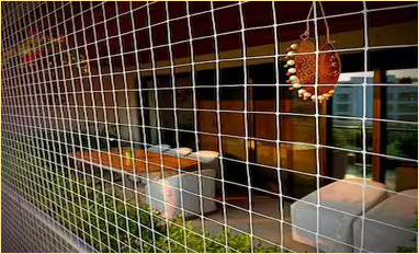 Anti Bird Nets